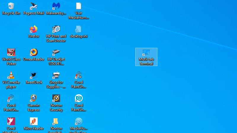 shortcut shown on desktop