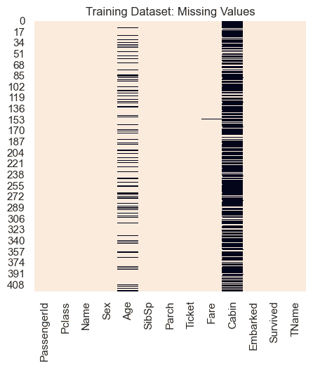 heatmap showing missing data in test dataset