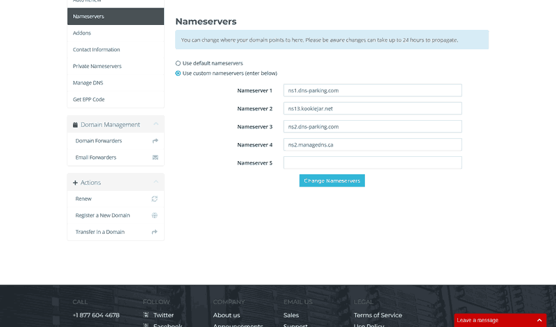 managing domain nameservers