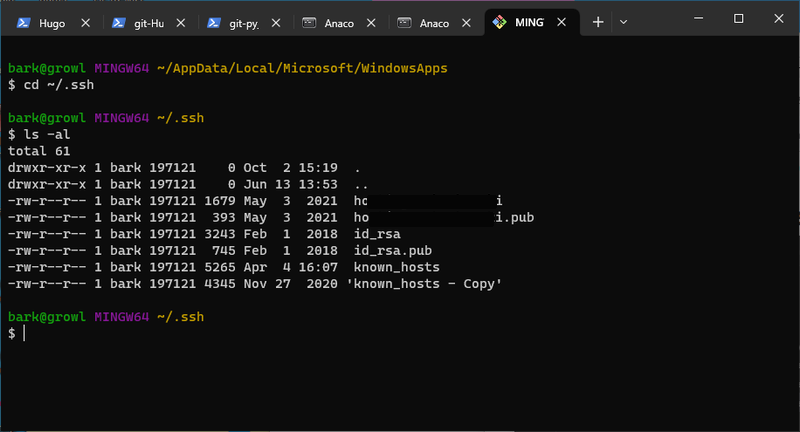 Git Bash in Windows Terminal listing of current SSH files