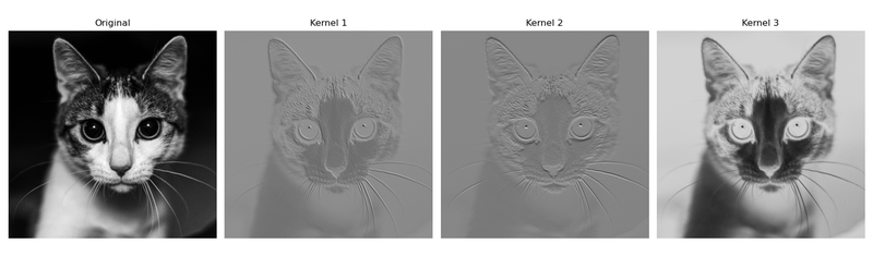 output of 3 kernel convolutional layer on cat image, also displayed